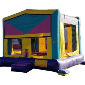 Fun Times Bouncer